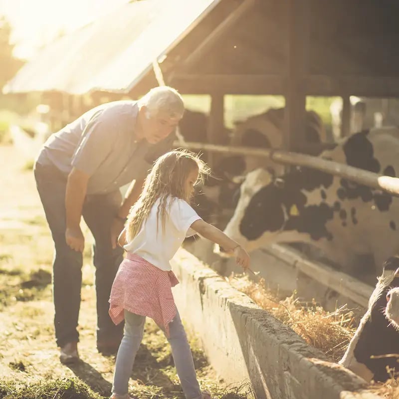 Agricultural succession planning Agricultural succession planning